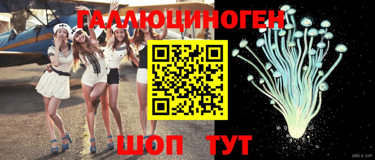 Псилоцибиновые грибы прущие грибы Нарьян-Мар