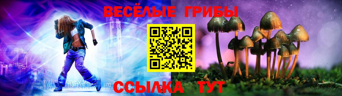 Псилоцибиновые грибы MAGIC MUSHROOMS  Вход с VPN  где продают   Нарьян-Мар  Псилоцибиновые грибы Psilocybe 